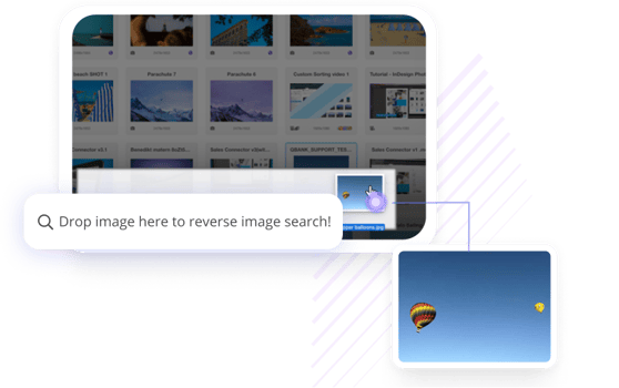 Reverse image-6