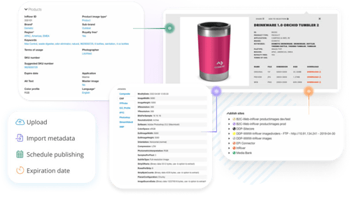 Advanced metadata setup (1)