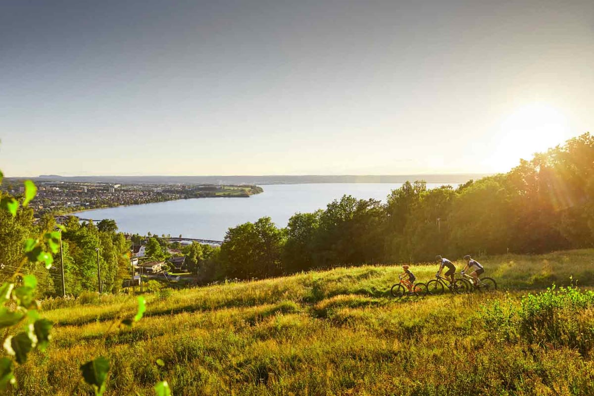 Image-bank-Sweden_patrik_svedberg-biking_with_a_view-6425