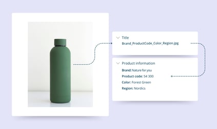 Brand_ProductCode_Color_Region.jpg