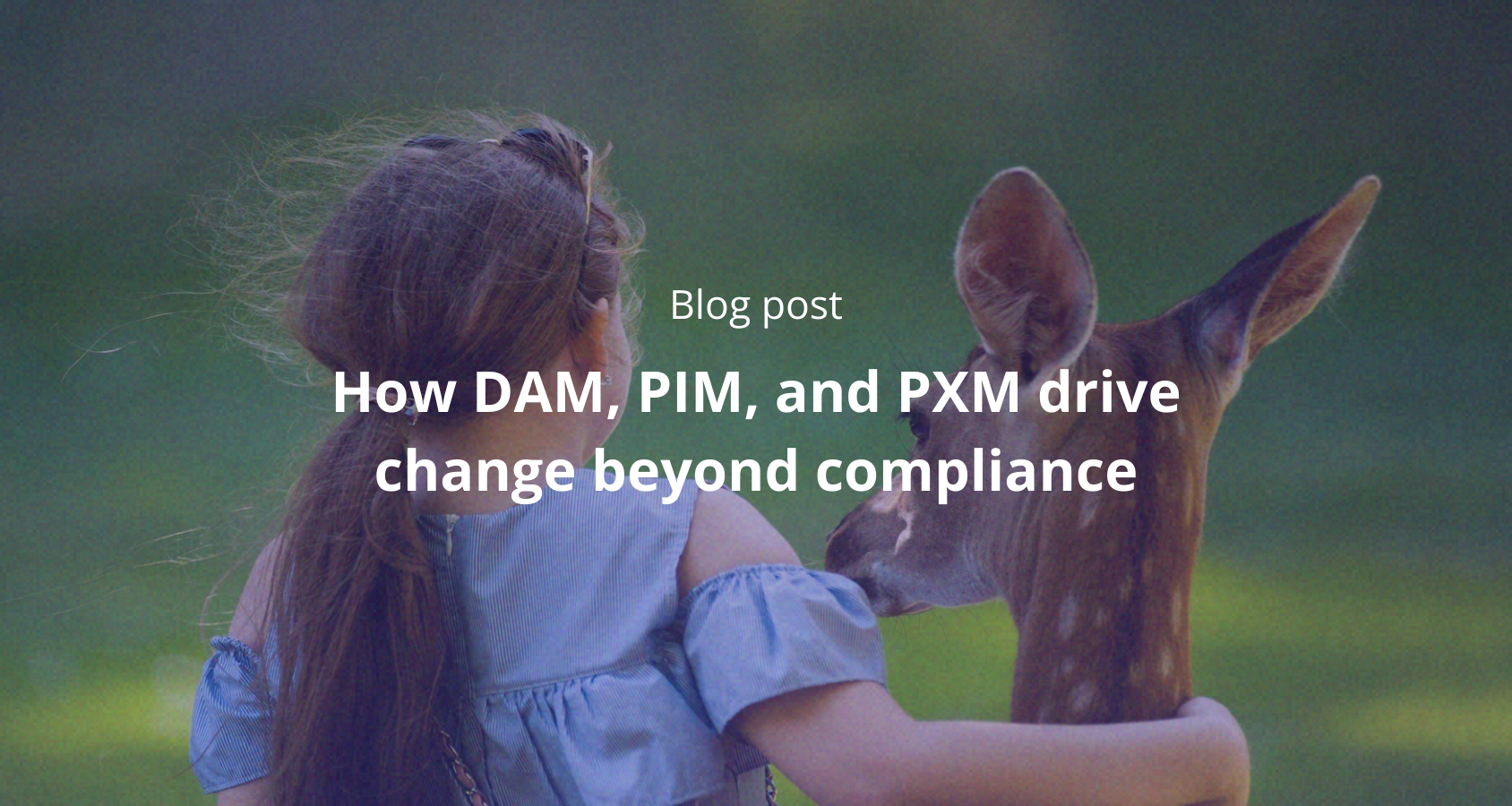 DPP-Blog-image1