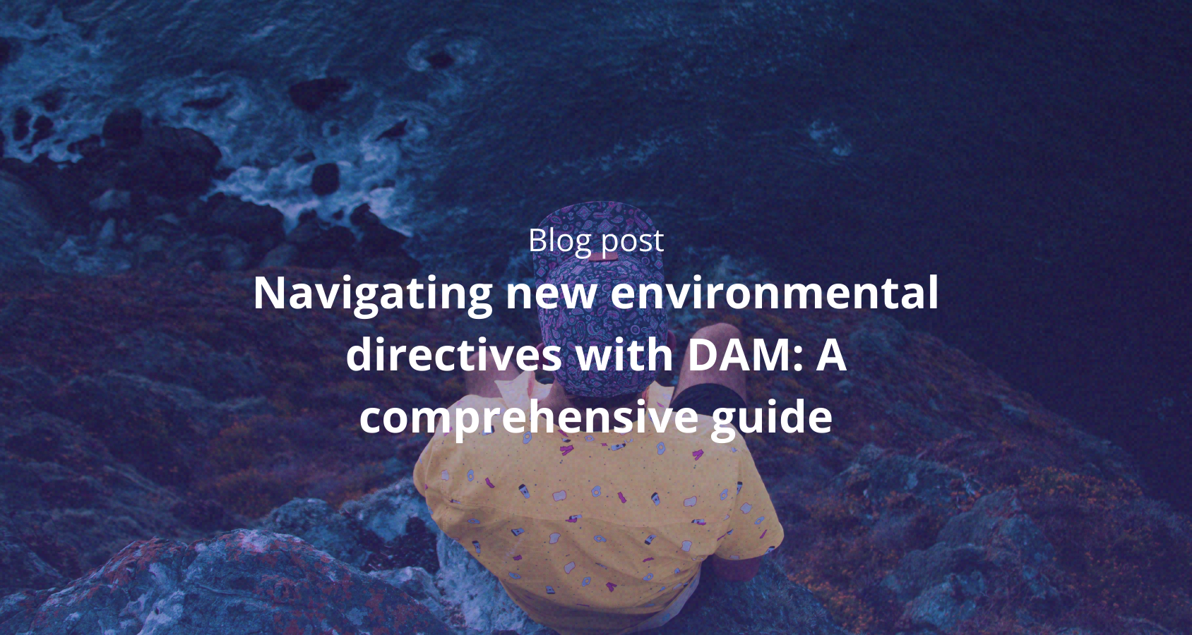 DPP-Blog-image2