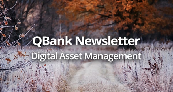 QBank Newsletter