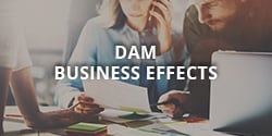DAM Business Effects