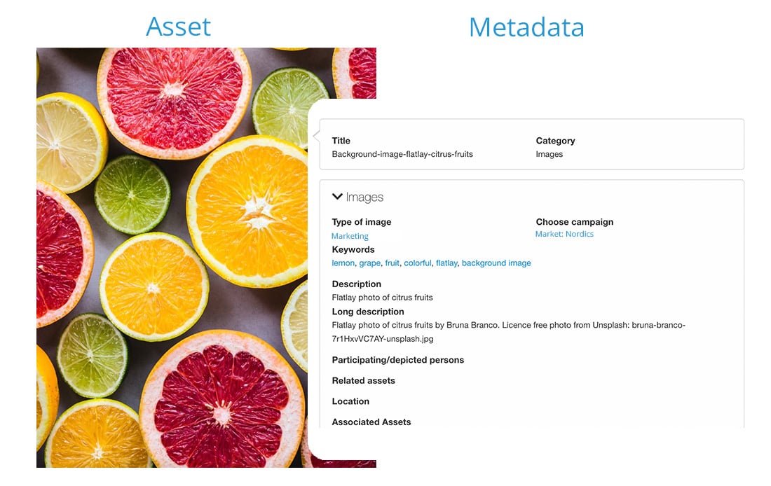 blog-metadata-1